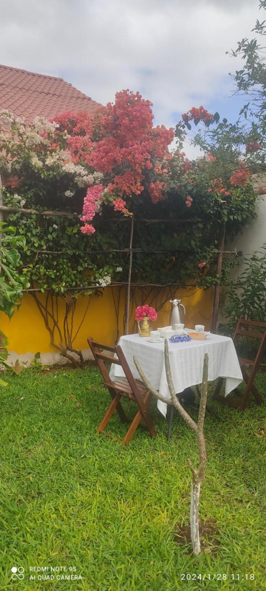 Bed and Breakfast Quinta Rosita Ticul Екстер'єр фото