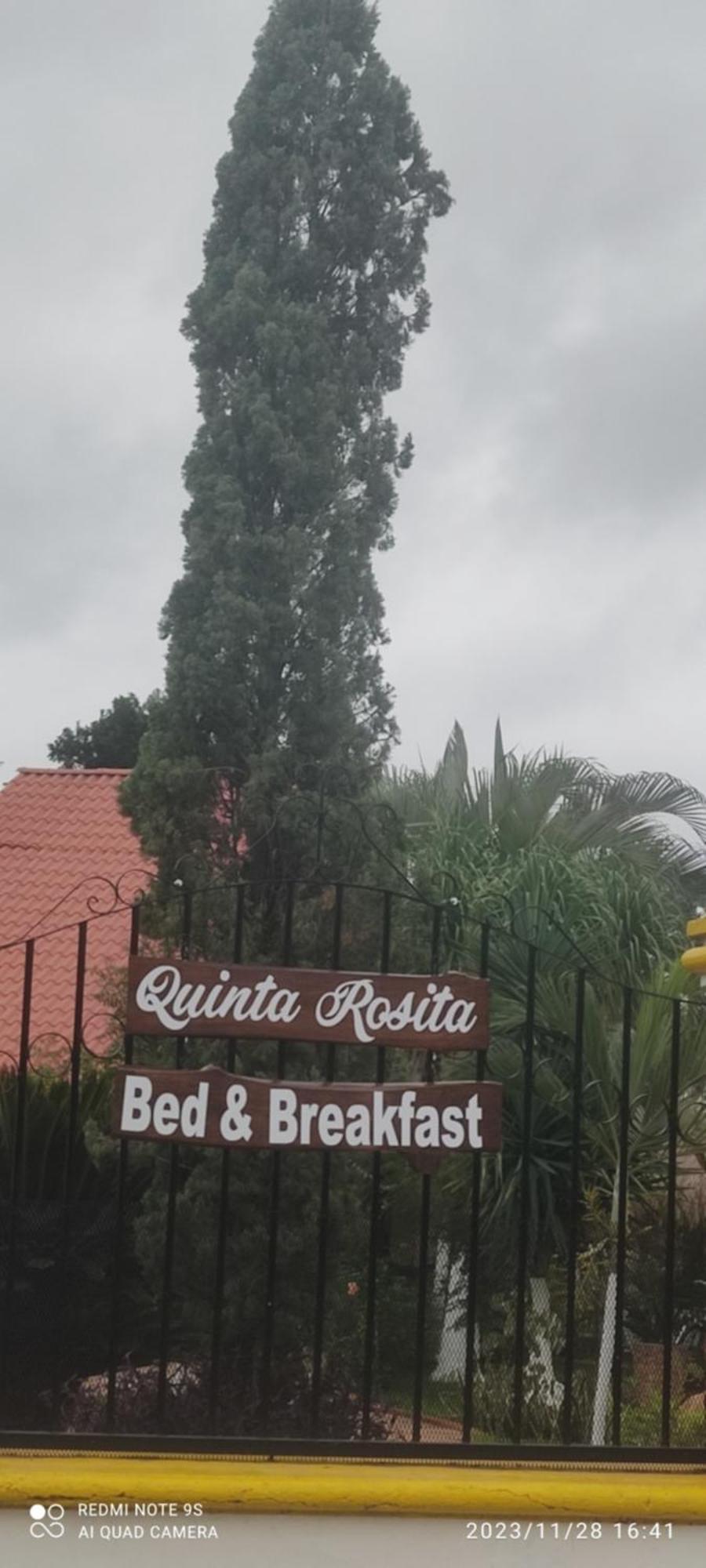 Bed and Breakfast Quinta Rosita Ticul Екстер'єр фото