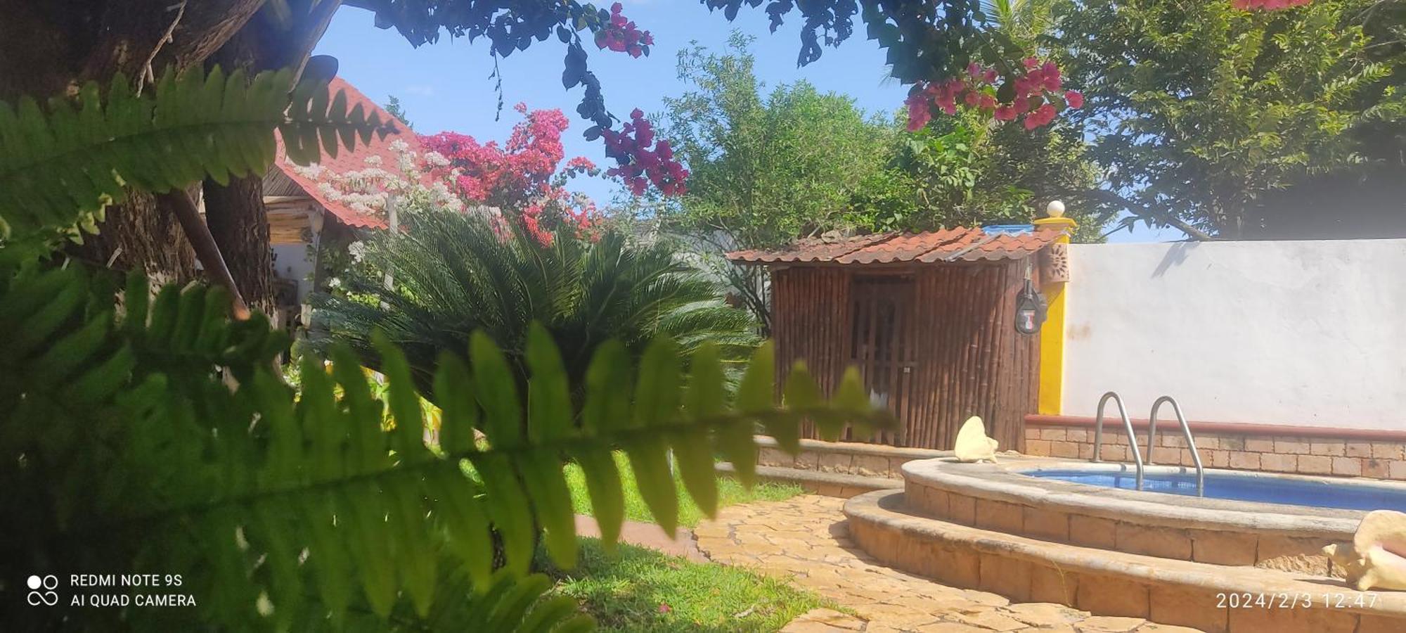 Bed and Breakfast Quinta Rosita Ticul Екстер'єр фото