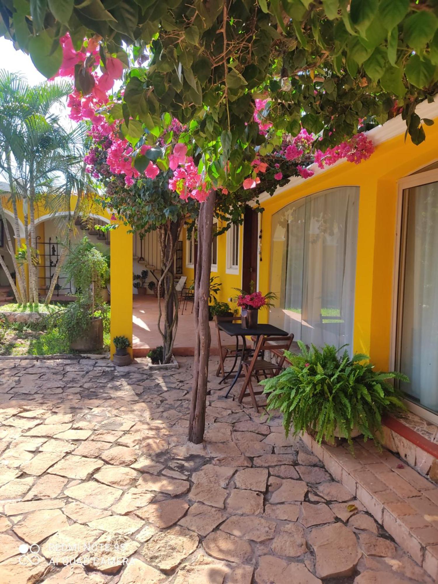 Bed and Breakfast Quinta Rosita Ticul Екстер'єр фото