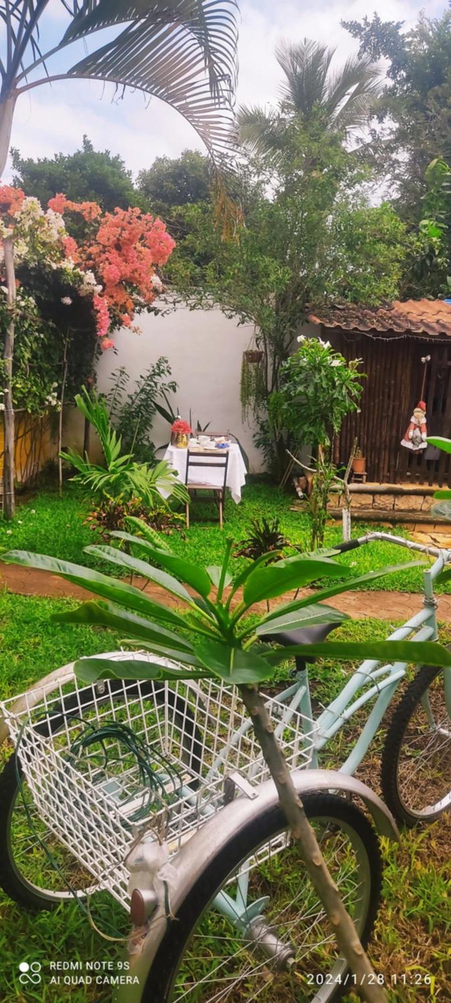 Bed and Breakfast Quinta Rosita Ticul Екстер'єр фото