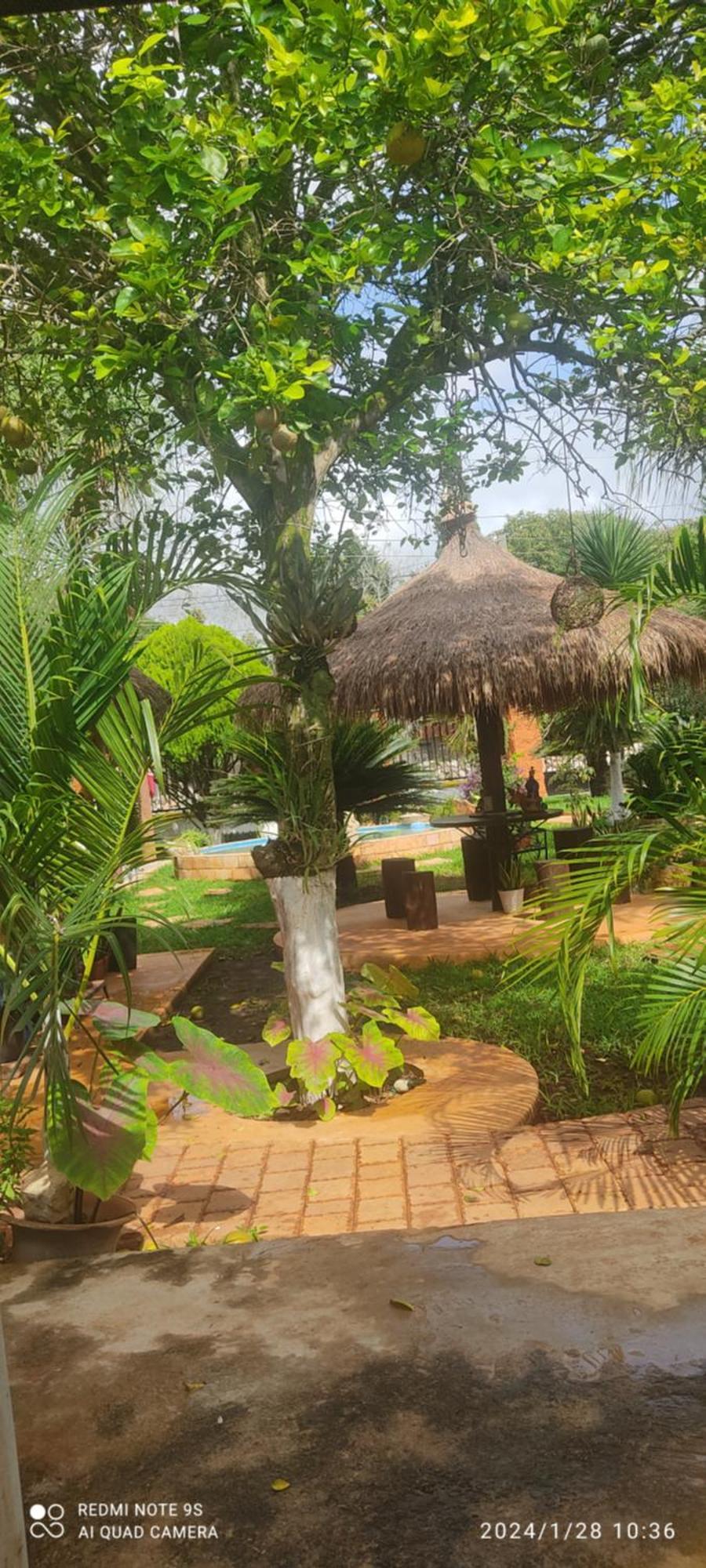 Bed and Breakfast Quinta Rosita Ticul Екстер'єр фото