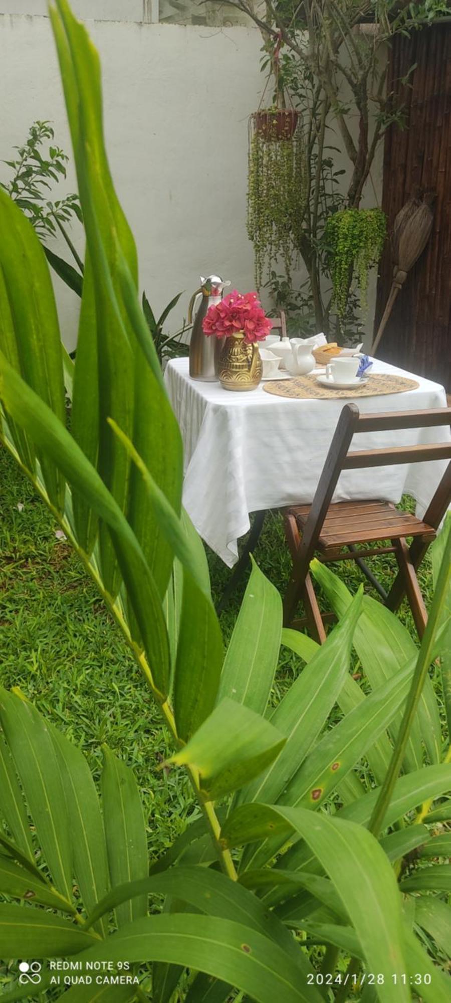 Bed and Breakfast Quinta Rosita Ticul Екстер'єр фото