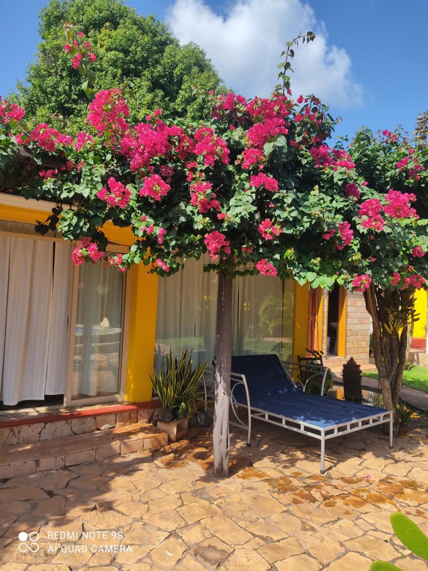 Bed and Breakfast Quinta Rosita Ticul Екстер'єр фото