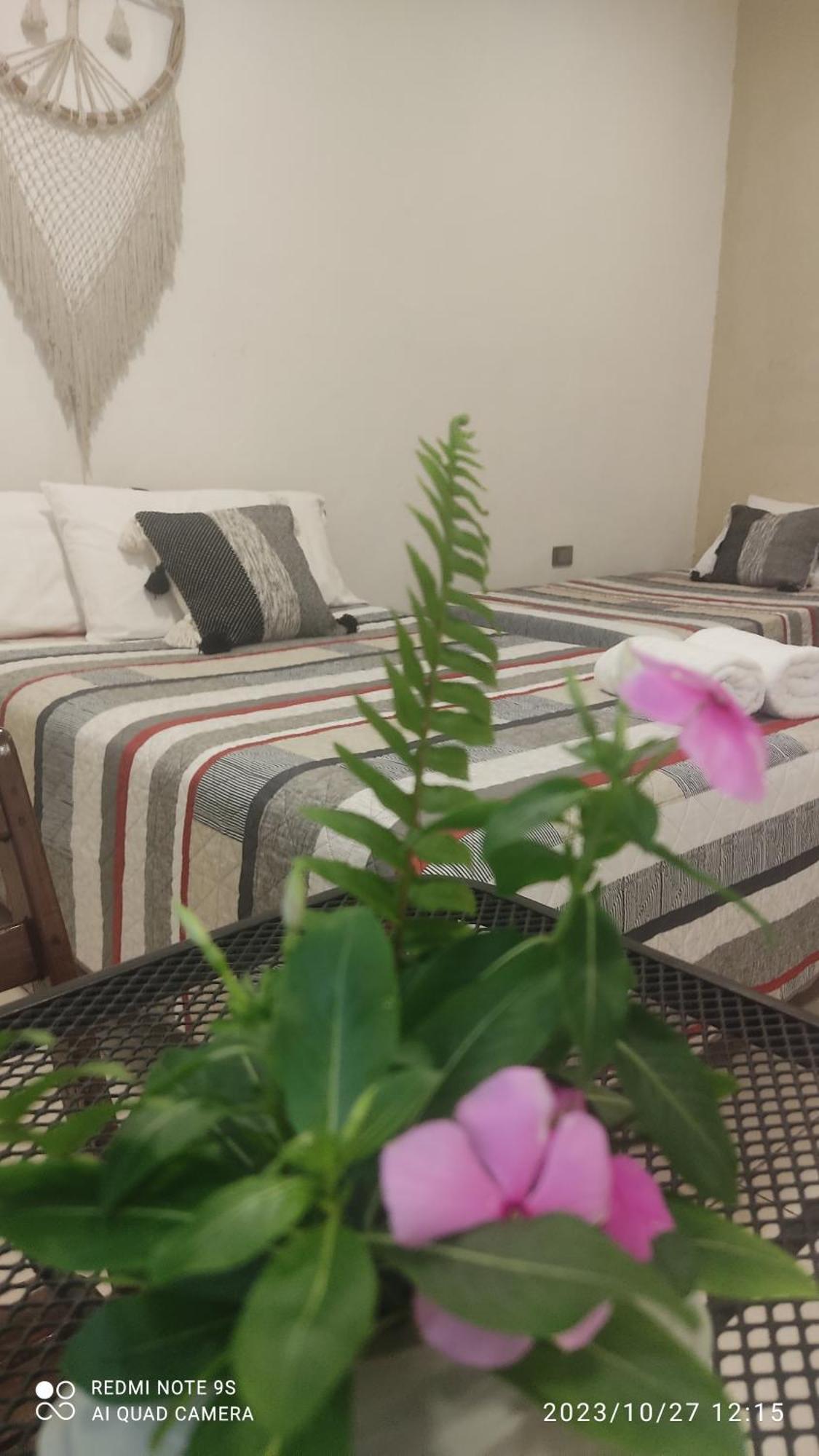 Bed and Breakfast Quinta Rosita Ticul Екстер'єр фото