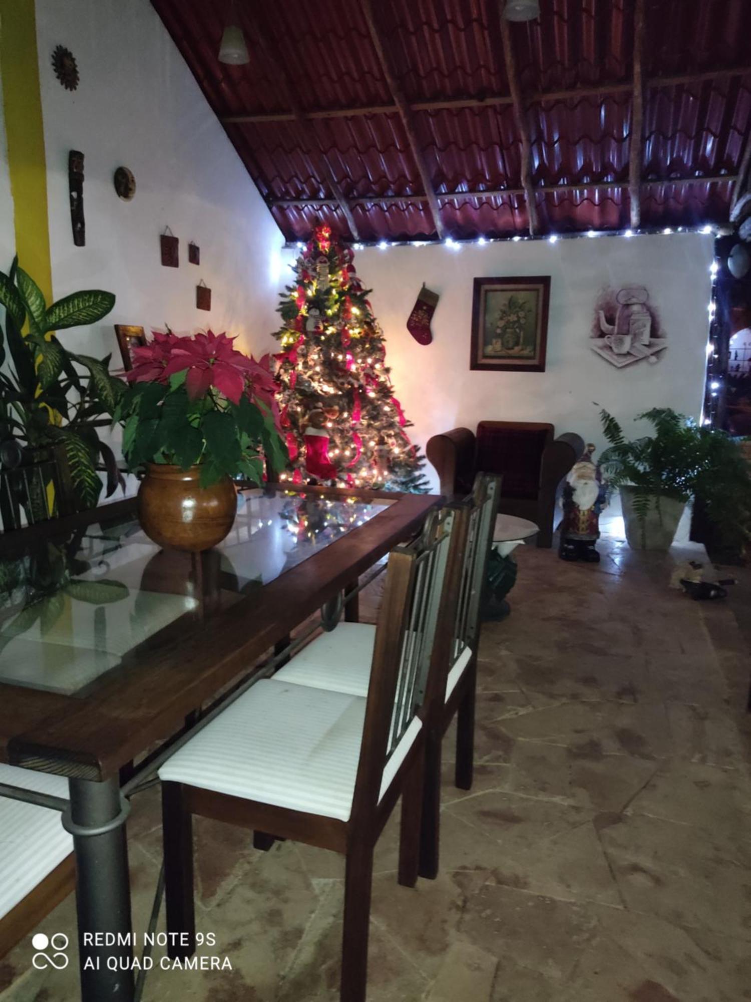 Bed and Breakfast Quinta Rosita Ticul Екстер'єр фото
