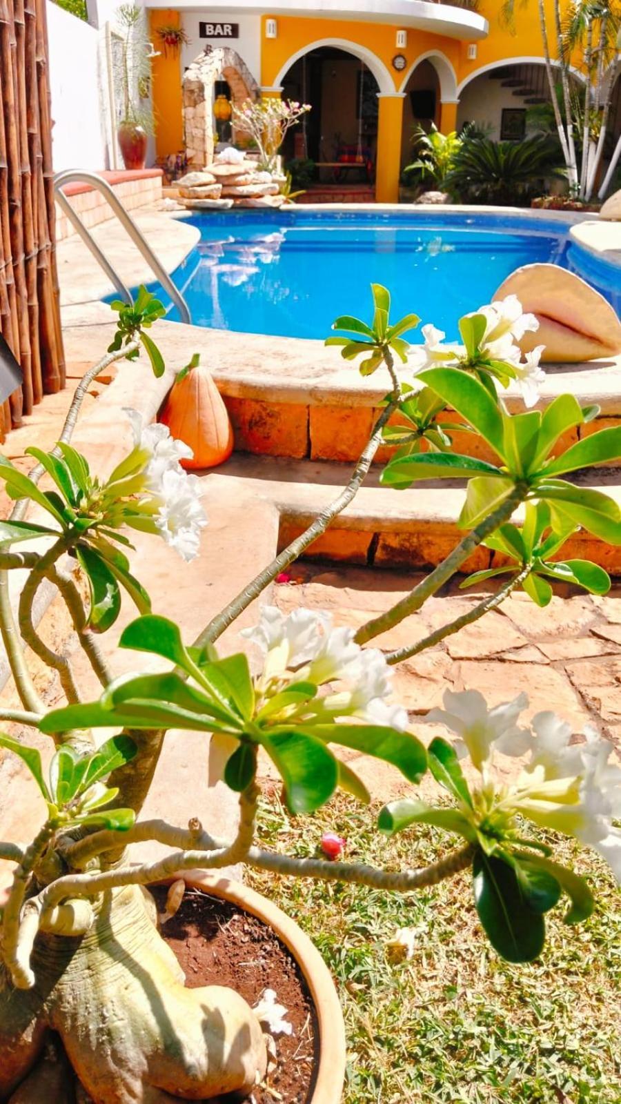 Bed and Breakfast Quinta Rosita Ticul Екстер'єр фото