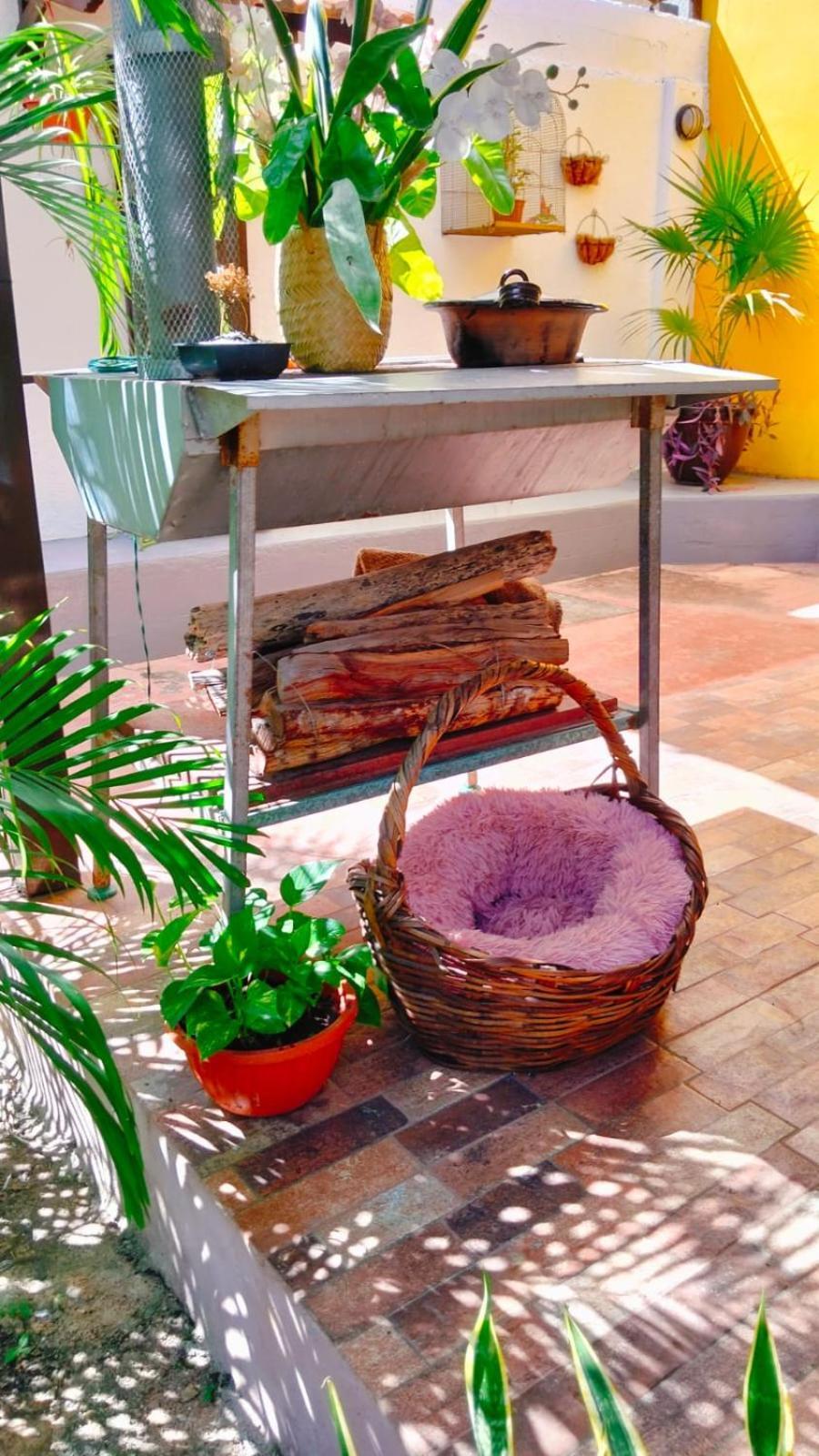 Bed and Breakfast Quinta Rosita Ticul Екстер'єр фото