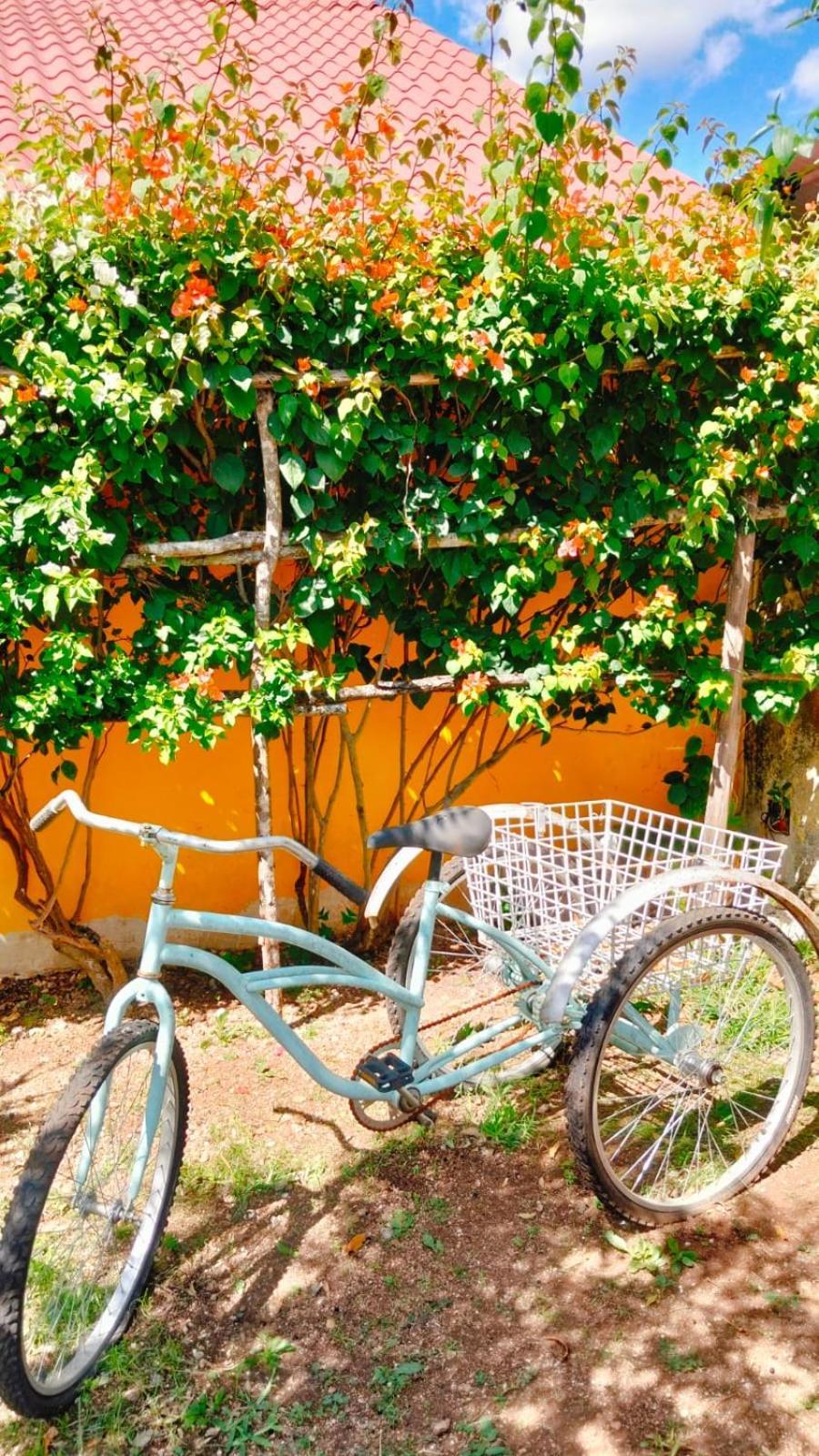 Bed and Breakfast Quinta Rosita Ticul Екстер'єр фото